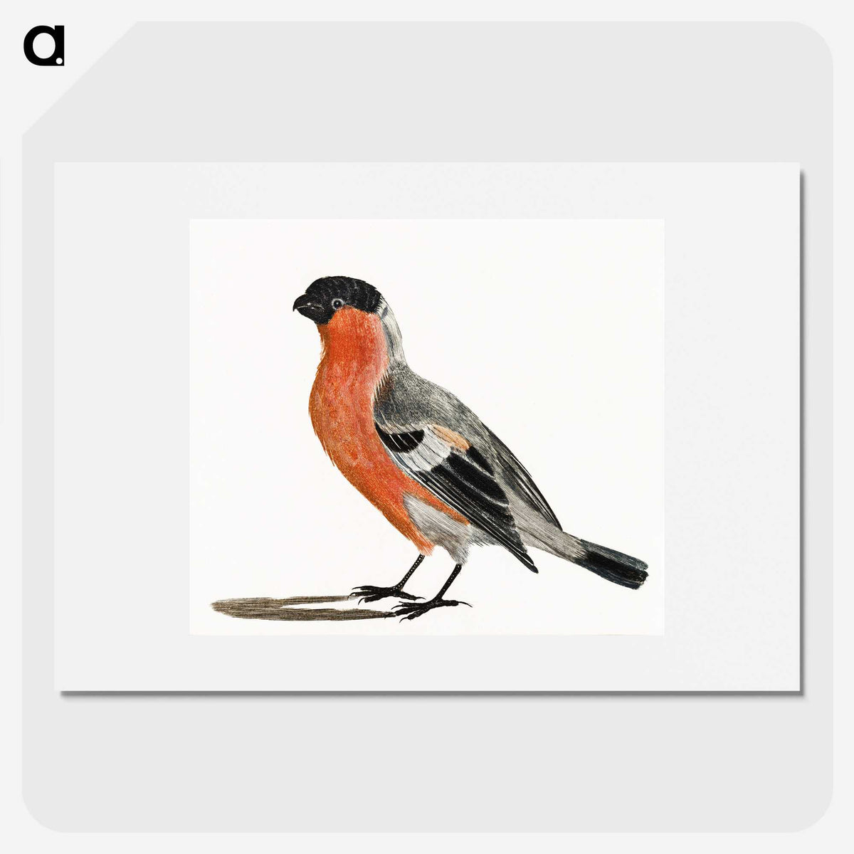 2-56_Johan-Teyler_picture