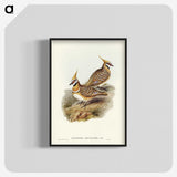 2-56_John-Gould_blk-crop