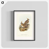 2-56_John-Gould_blk