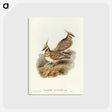 2-56_John-Gould_postcard