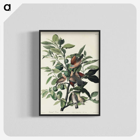 2-56_John-James-Audubon_blk-crop