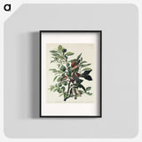 2-56_John-James-Audubon_blk
