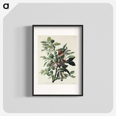 2-56_John-James-Audubon_blk