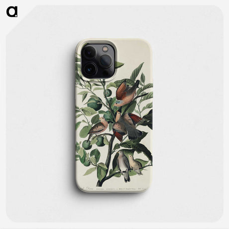 2-56_John-James-Audubon_phone