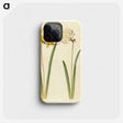 2-56_Maria-Sibylla-Merian_phone