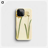 2-56_Maria-Sibylla-Merian_phone