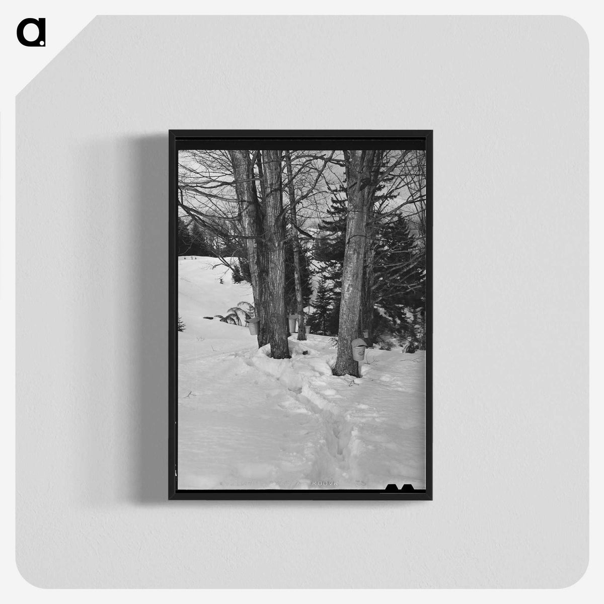 2-56_Marion-Post-Wolcott_blk-crop