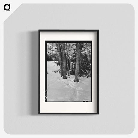 2-56_Marion-Post-Wolcott_blk