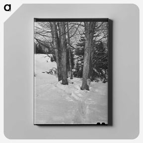 2-56_Marion-Post-Wolcott_canvas
