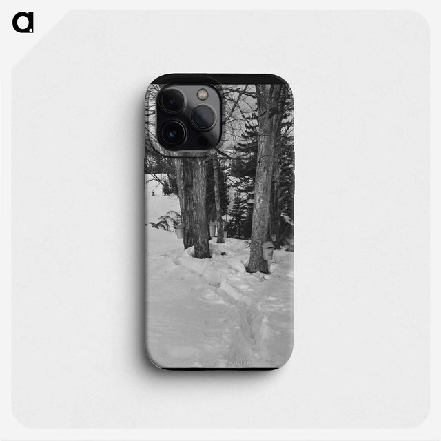 2-56_Marion-Post-Wolcott_phone