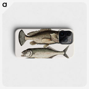 2-56_Mark-Catesby_phone