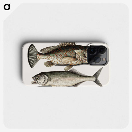 2-56_Mark-Catesby_phone