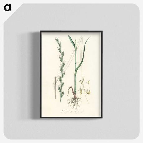 2-56_Medical-Botany_blk-crop