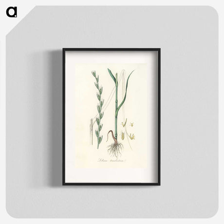 2-56_Medical-Botany_blk
