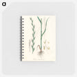 アートメモ帳-Darnel Illustration
 - 薬用植物学 Memo.