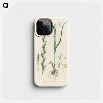 Darnel Illustration
 - 薬用植物学 Phone Case.