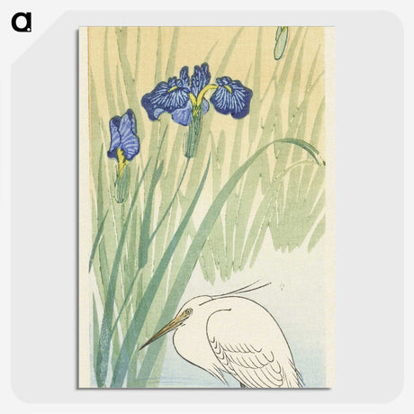 2-56_Ohara-Koson_picture-crop