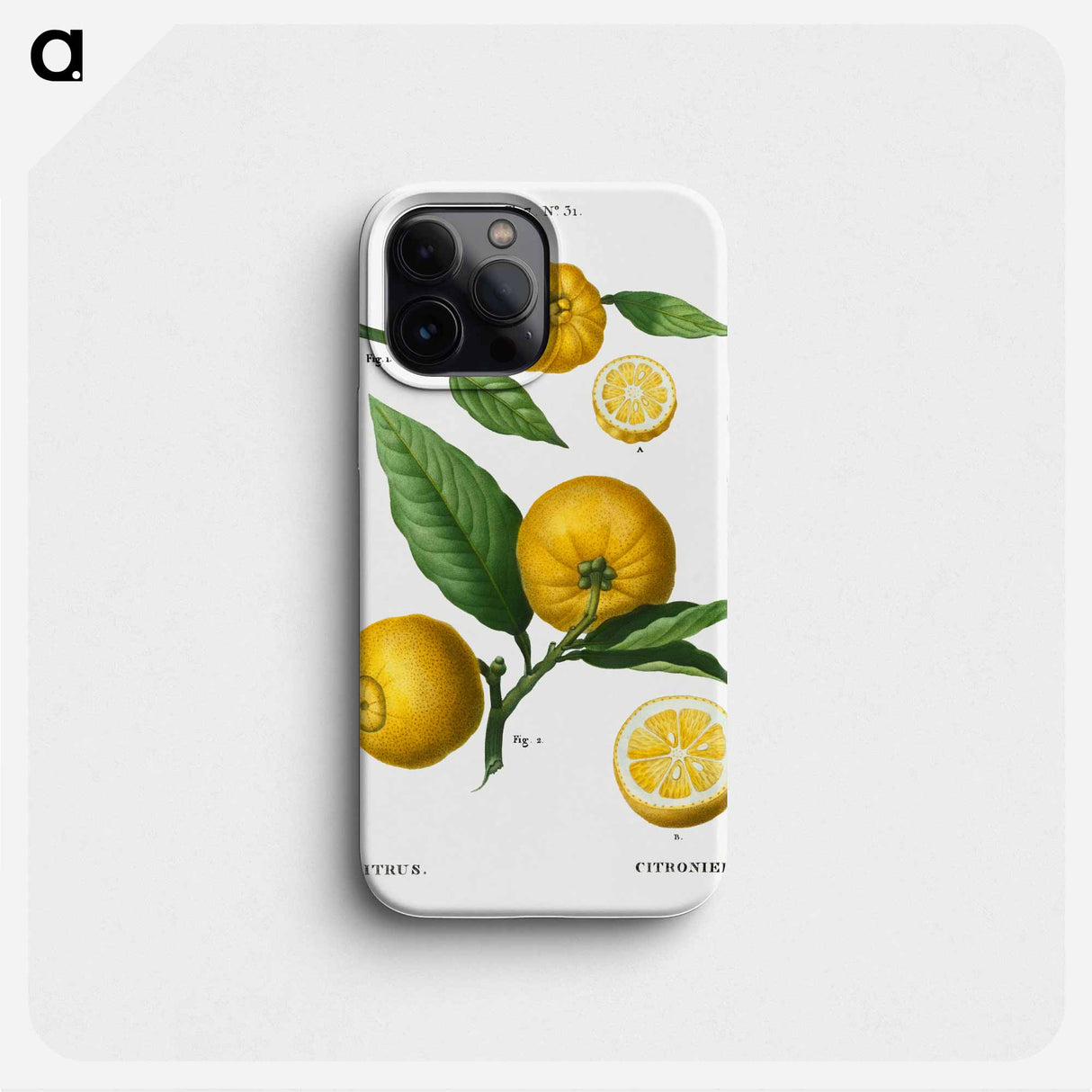 Clusters of citrus - Pierre Joseph Redouté Phone Case.