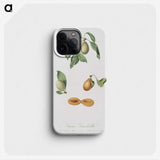 2-56_Pomona-Italiana_phone