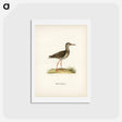 アートポストカード-Common Redshank
 - スヴェンスカ フォグラル Postcard.
