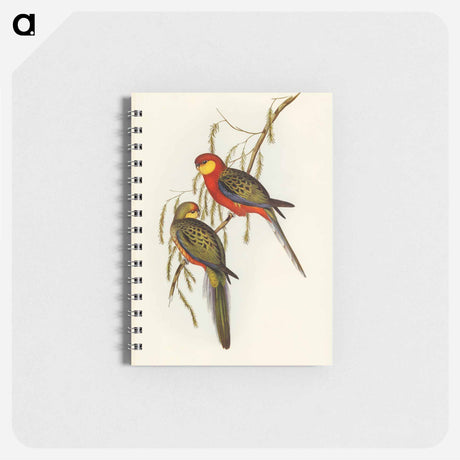 アートメモ帳-Earl of Derby's Parrakeet
 - オーストラリアの鳥 Memo.
