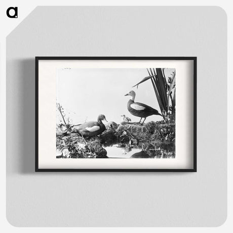 2-56_The-Burton-Brothers_blk