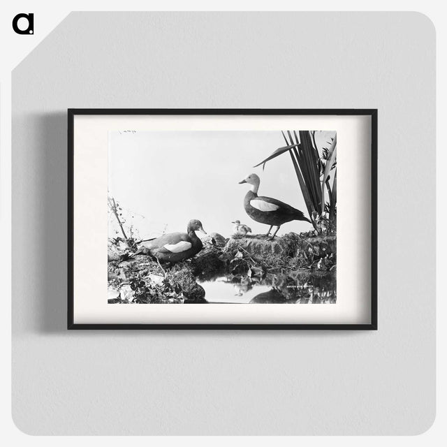 2-56_The-Burton-Brothers_blk