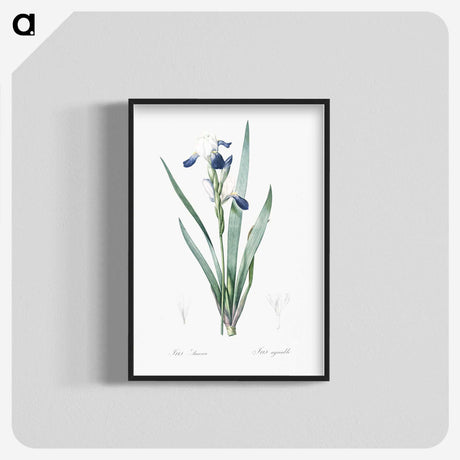 2-56_The-Lilies_blk-crop