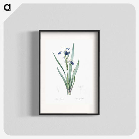 2-56_The-Lilies_blk