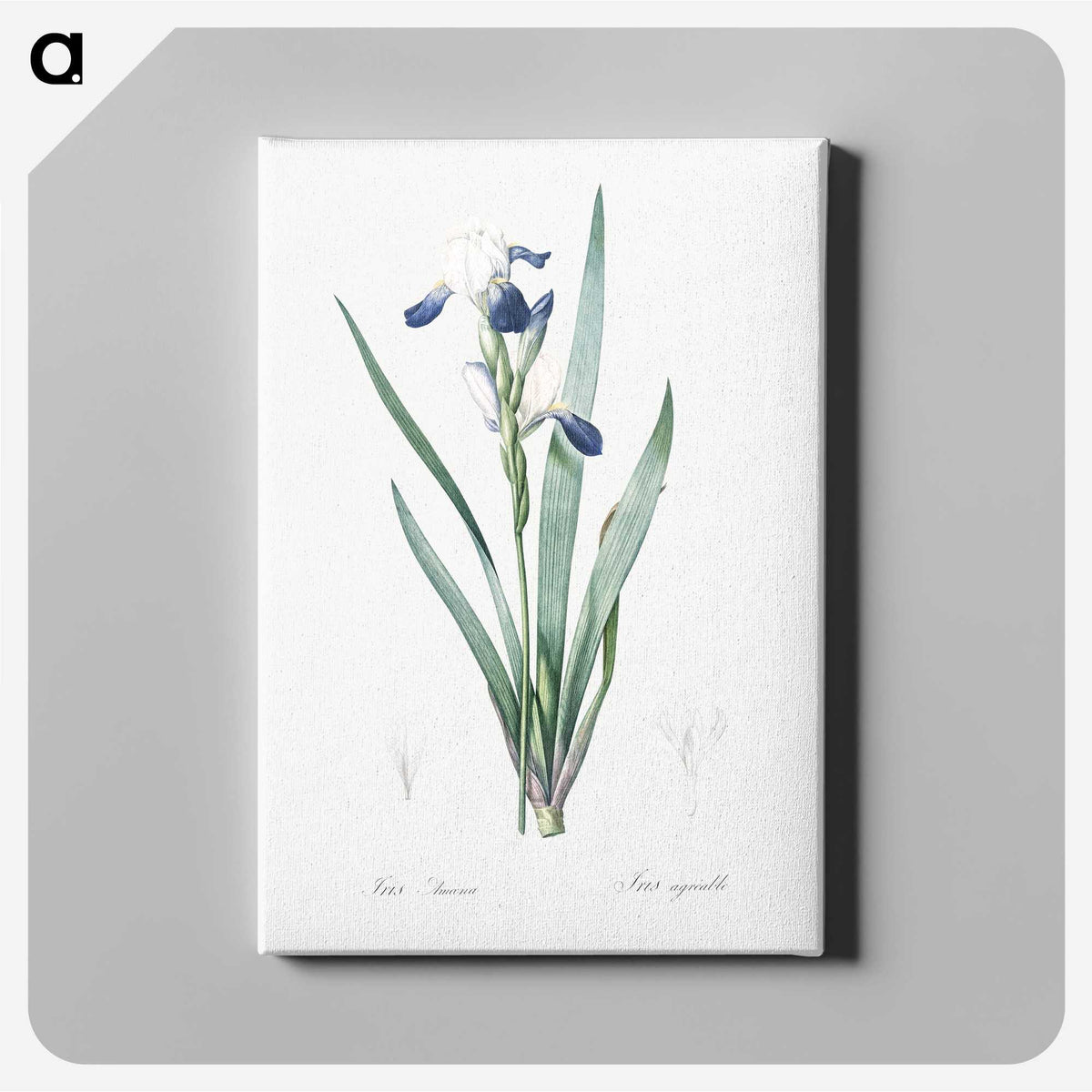 2-56_The-Lilies_canvas