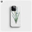 2-56_The-Lilies_phone