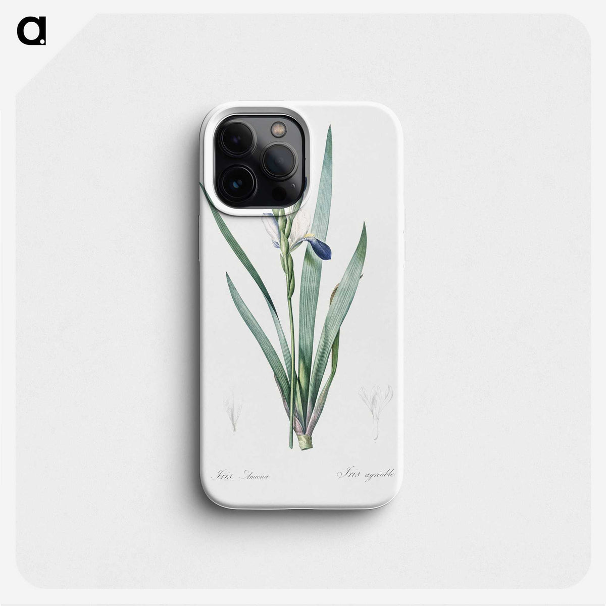 2-56_The-Lilies_phone