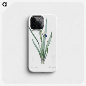 2-56_The-Lilies_phone