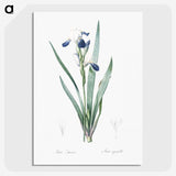 2-56_The-Lilies_picture-crop