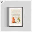 アートポスター-Pear, French Rose, and Caterpillar
 - 書道のお手本 Poster.