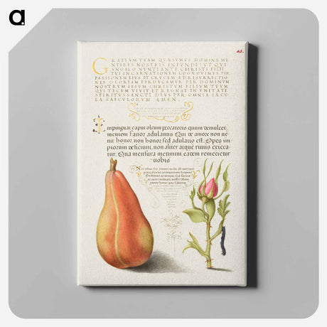 アートパネル-Pear, French Rose, and Caterpillar
 - 書道のお手本 Canvas.