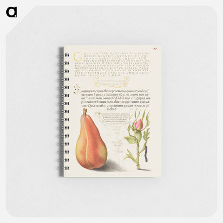 アートメモ帳-Pear, French Rose, and Caterpillar
 - 書道のお手本 Memo.