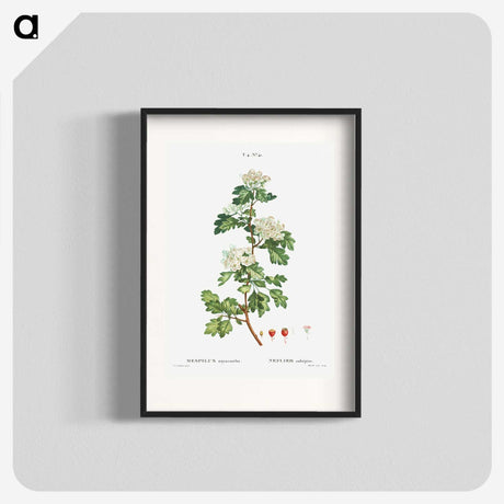 2-56_Treatise-on-Trees-and-Shrubs_blk