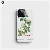 2-56_Treatise-on-Trees-and-Shrubs_phone