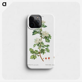 2-56_Treatise-on-Trees-and-Shrubs_phone