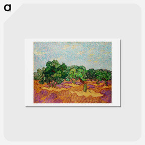 アートポストカード-Olive Trees - フィンセント ファン ゴッホ Postcard.