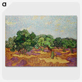 2-56_Vincent-van-Gogh_picture-crop