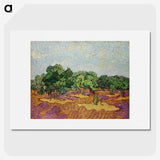 2-56_Vincent-van-Gogh_picture