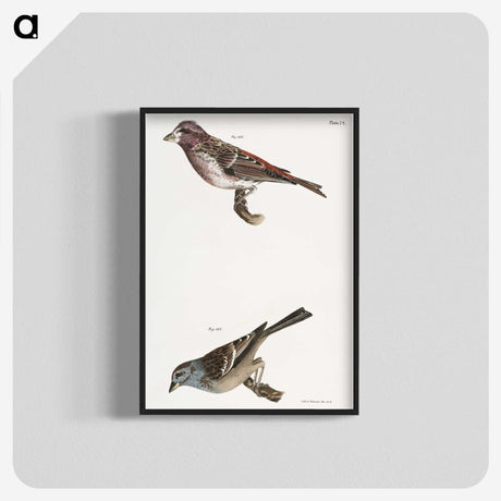 2-56_Zoology-of-New-York_blk-crop