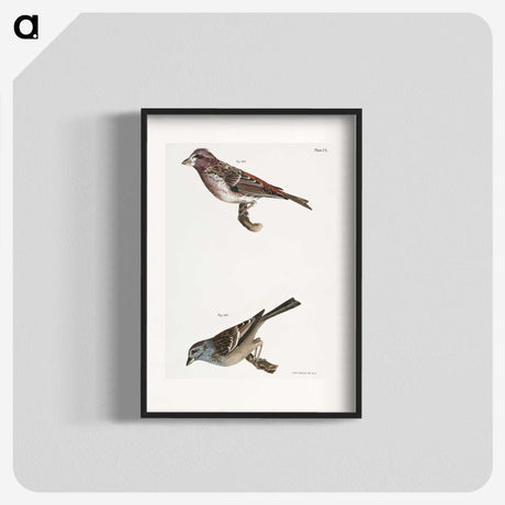 2-56_Zoology-of-New-York_blk