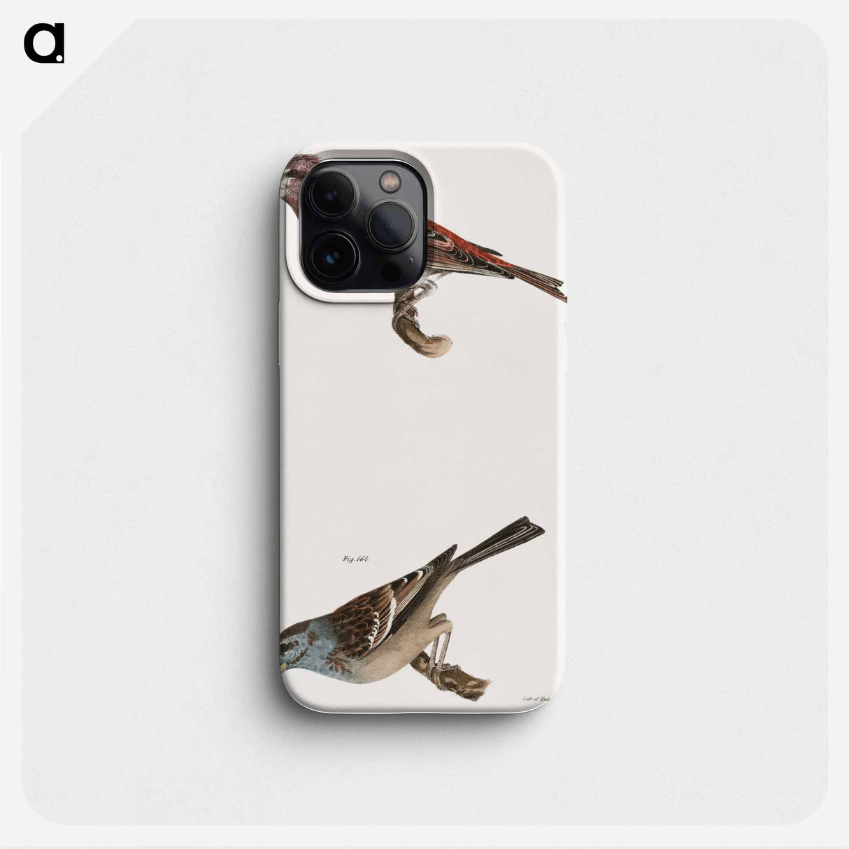 Crested Purple Finch - ニューヨークの動物学 Phone Case.