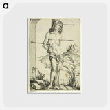 アートポストカード-St. Sebastian at the Column - アルブレヒト デューラー Postcard.