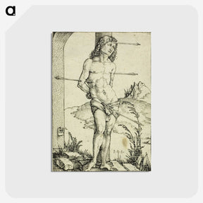 2-57_Albrecht-Durer_postcard