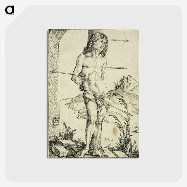 2-57_Albrecht-Durer_postcard
