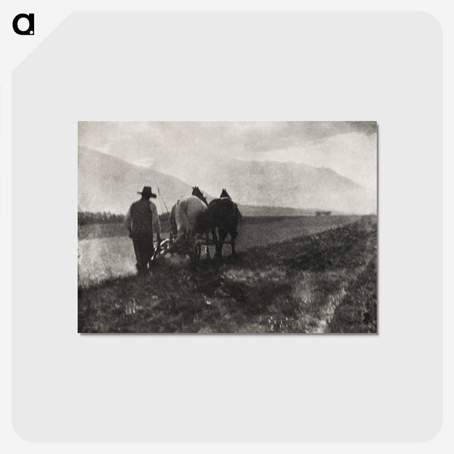 2-57_Alfred-Stieglitz_postcard